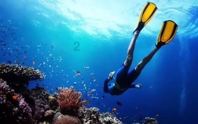 泰国旅游安全吗？需要注意哪些问题？游戏画面