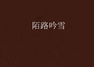重装突击